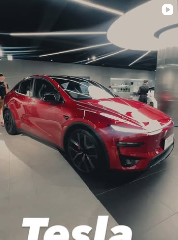 model Y (限定版)